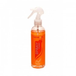 Recharge Spray fixe (250 ml)